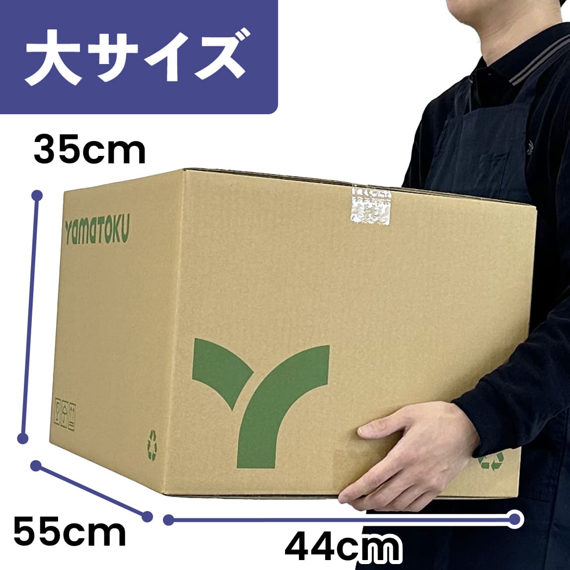 宅配キット大サイズを持った様子